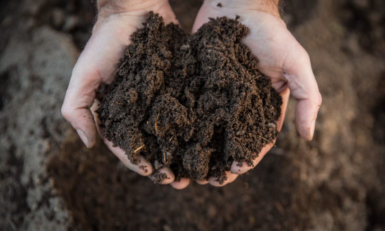 Valoriser les biodéchets : séchat pour un compost riche en nutriments